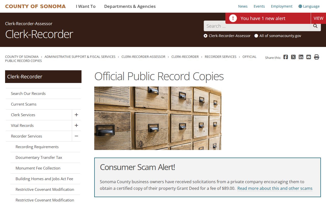 Petaluma records copy fees and request channels